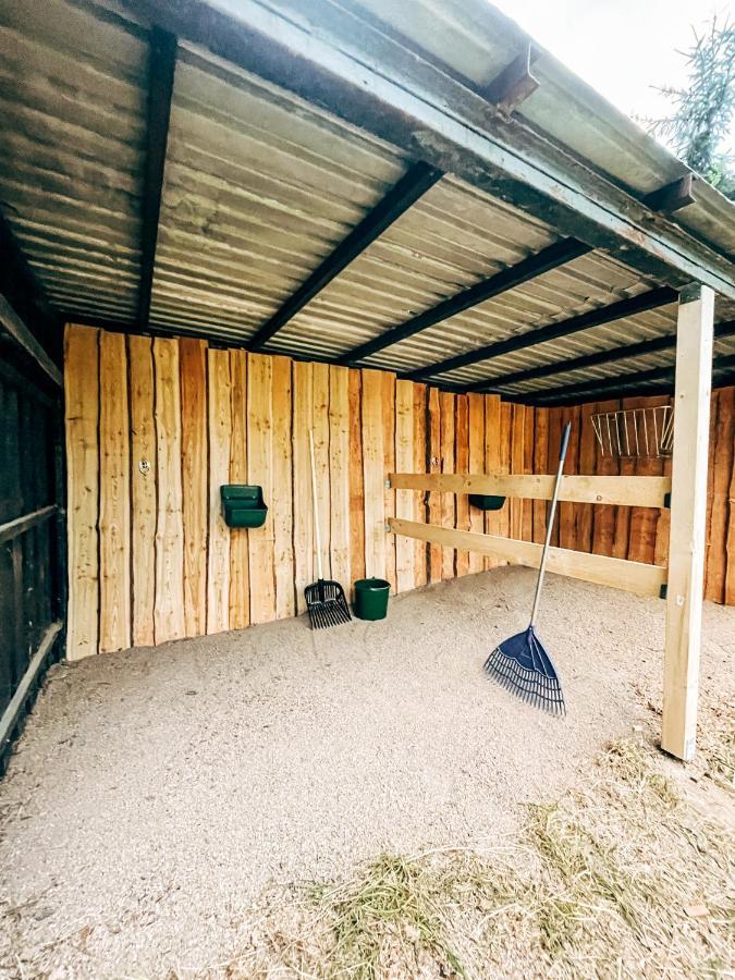 Wunderschoenes Chalet Mit Gaestehaus In Der Natur Mit Fass-Sauna Занґергаузен Екстер'єр фото